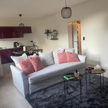 Le Cocon De La Belle Liegeoise Apartment Luaran gambar