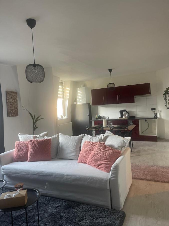 Le Cocon De La Belle Liegeoise Apartment Luaran gambar